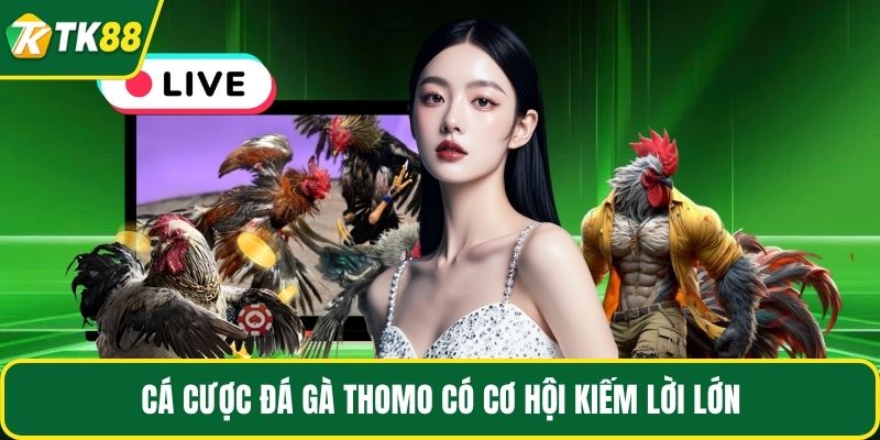 Cá cược đá gà Thomo có cơ hội kiếm lời lớn