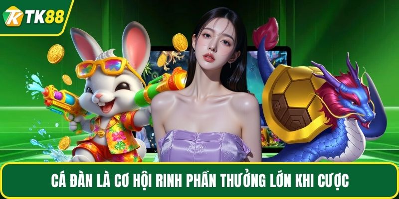 Cá đàn là cơ hội rinh phần thưởng lớn khi cược