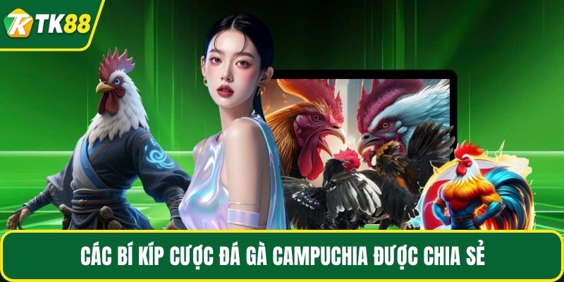 Các bí kíp cược đá gà Campuchia được chia sẻ
