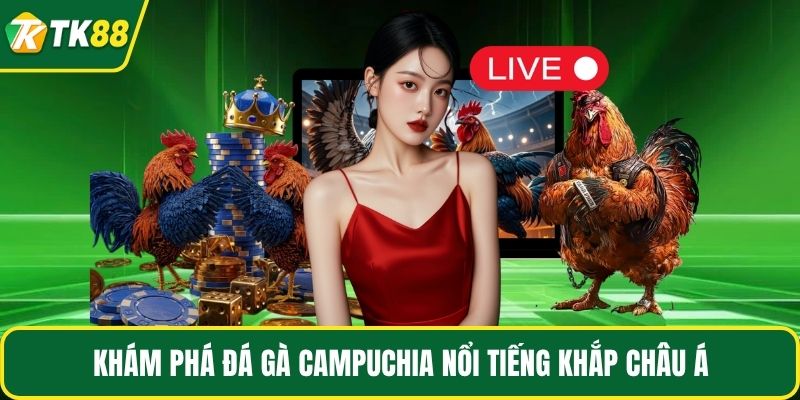 Khám phá đá gà Campuchia nổi tiếng khắp châu Á