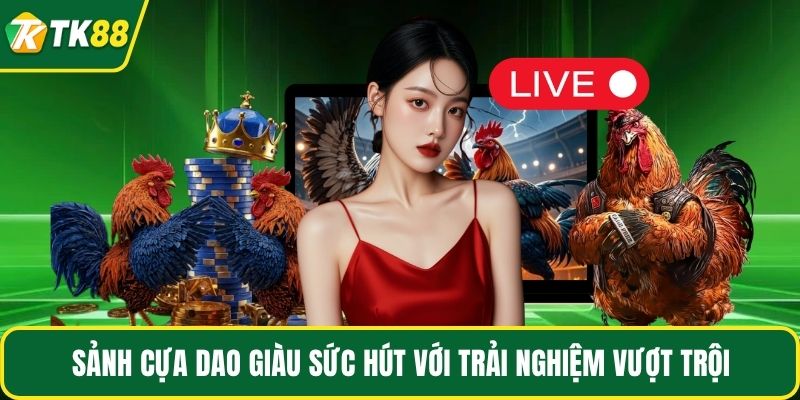 Sảnh cựa dao giàu sức hút với trải nghiệm vượt trội