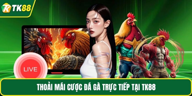 Thoải mái cược đá gà trực tiếp tại TK88