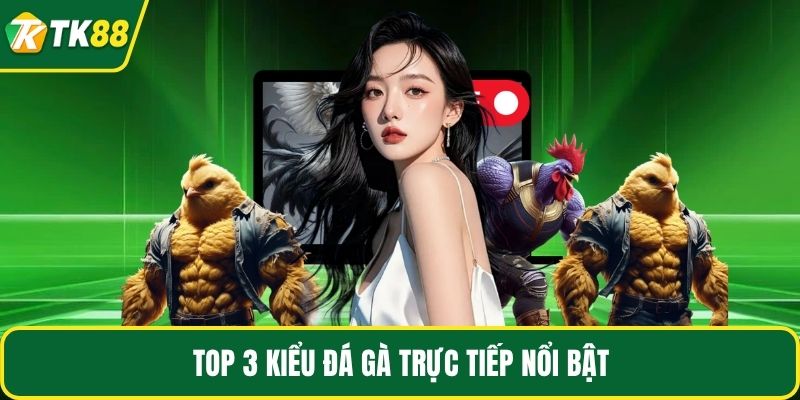 Top 3 kiểu đá gà trực tiếp nổi bật